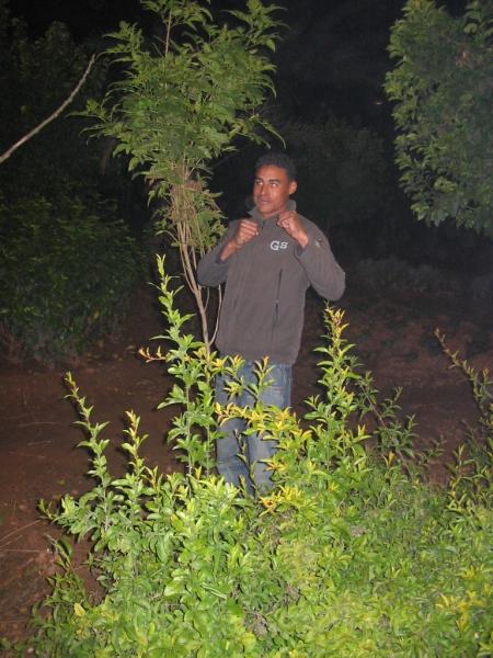 abdelali