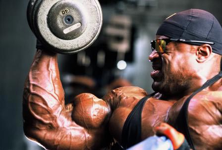 muscullation