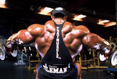 muscullation